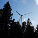 Windkraft-im-Wald