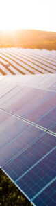 Solar-Ausschreibung erreicht Rekordbeteiligung